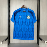 2024/25 Palmeiras pre-match blue jersey