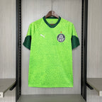 2024/25 Palmeiras training green jersey