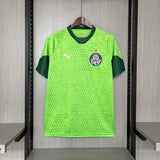 2024/25 Palmeiras training green jersey